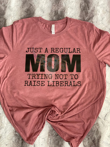 Just a Regular Mom/Trying not Raise Liberals