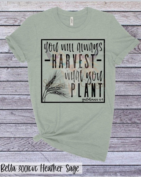 Harvest What You Plant