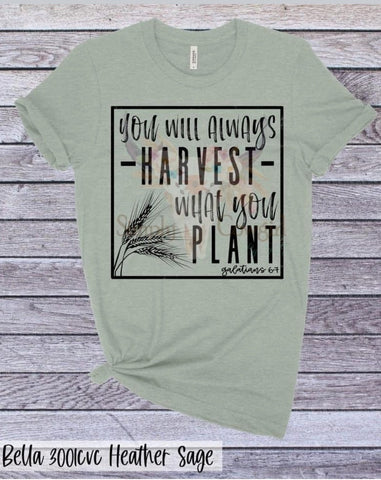 Harvest What You Plant